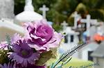 Death Cause and Family Mourns the Loss