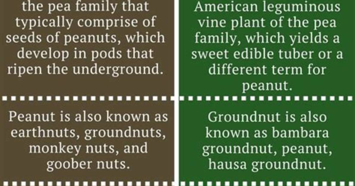 Difference Between Peanut and Groundnut