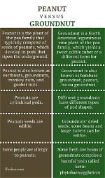 Difference Between Peanut and Groundnut