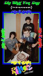 Dig What You Dug by Wallows from Usa