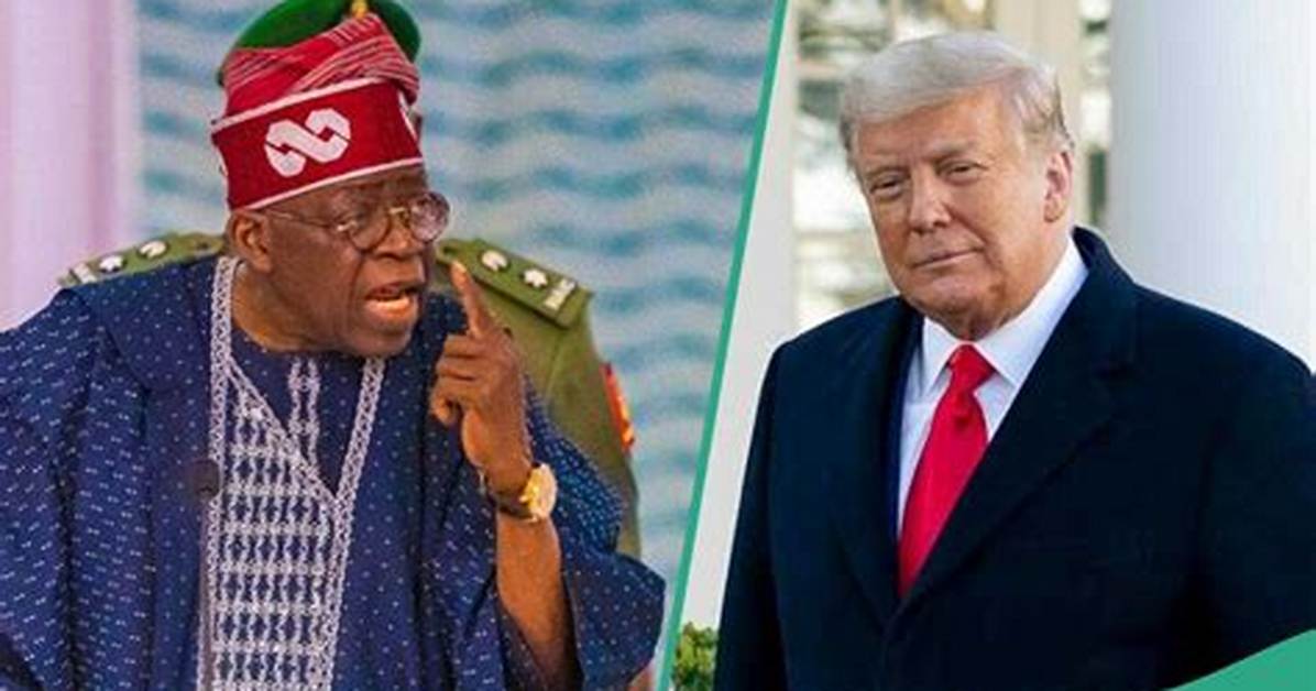 Donald Trump Attacked Nigerians for Protesting Against Tinubu? Fact Emerges
