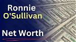 Donie O’sullivan Net Worth – How Much Is Donie O’sullivan Worth?