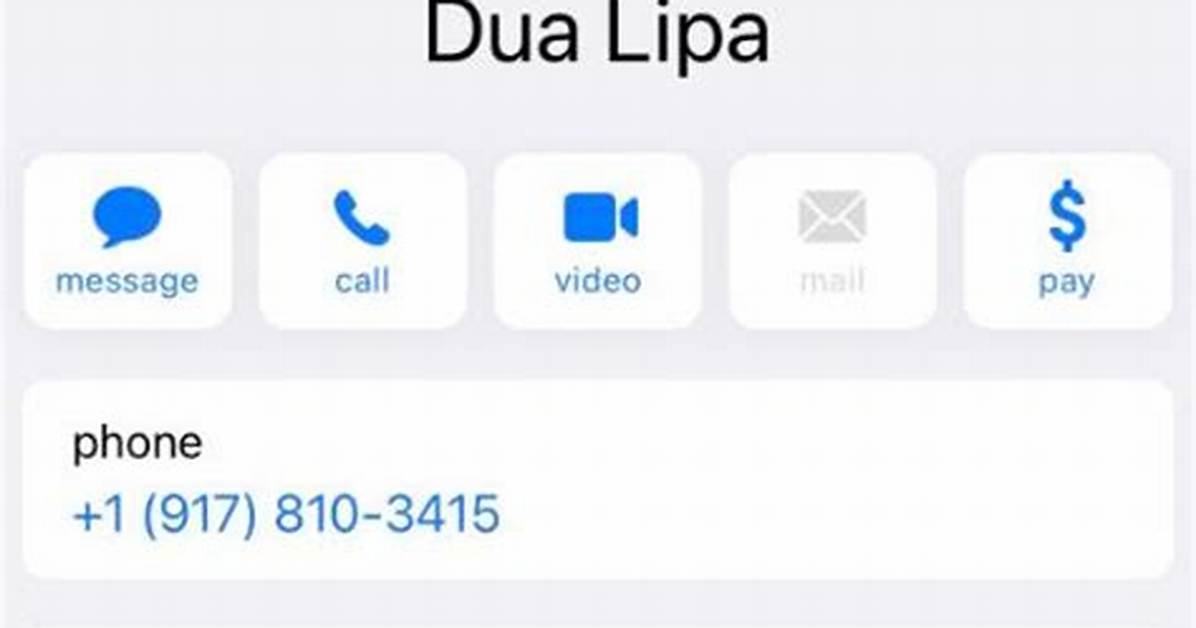 Dua Lipa Phone Number Texting Number Contact Number Mobile Number