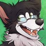 Dumbdog