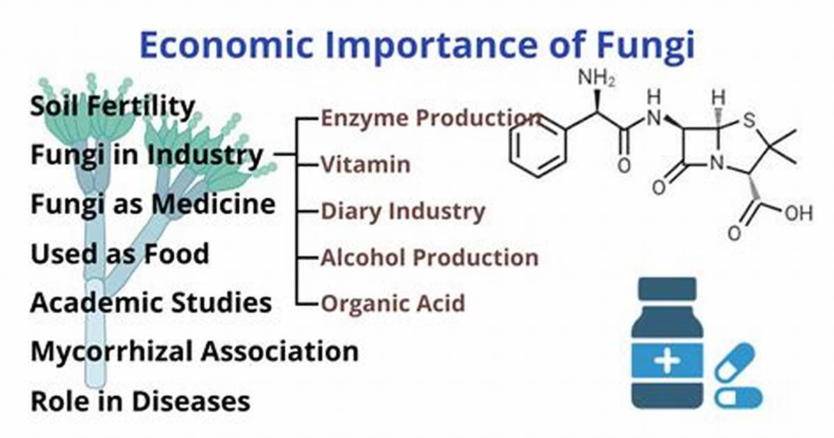 Economic Importance of Fungi in Commercial Agriculture