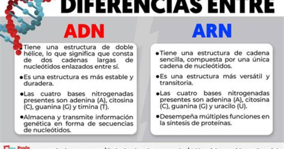 Eduardo Barqu%C3%Adn 1200. Jpg