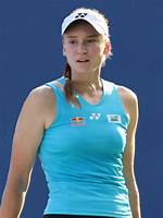 Elena Vladi Net Worth