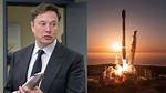Elon Musk Loses $20 Billion in One Day as Dangote Sees Biggest Earnings in Weeks