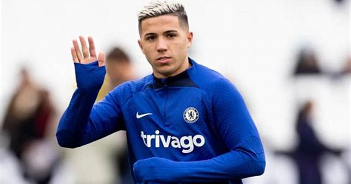 Enzo Krieger Net Worth