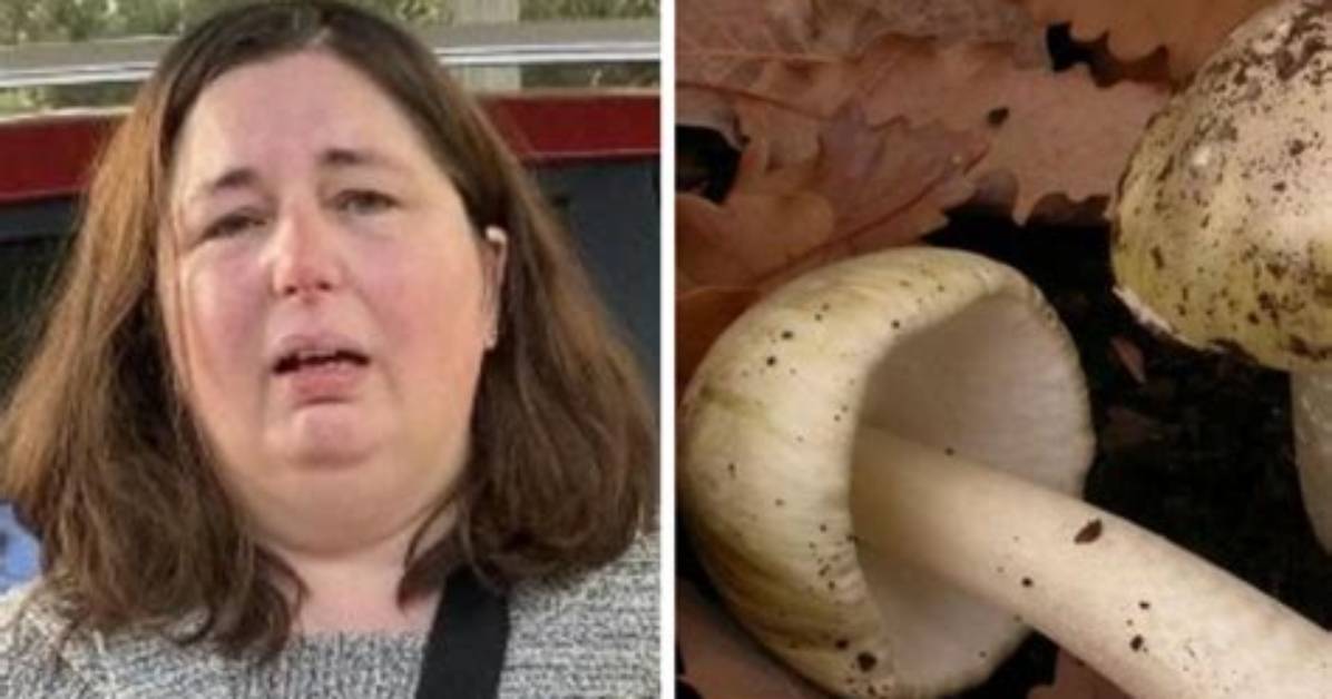Erin Patterson Missing News Gone Viral: Mushroom Lady Arrested and Charged