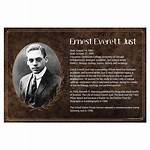 Ernest Everett Just Net Worth