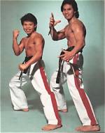 Ernie Reyes Jr.