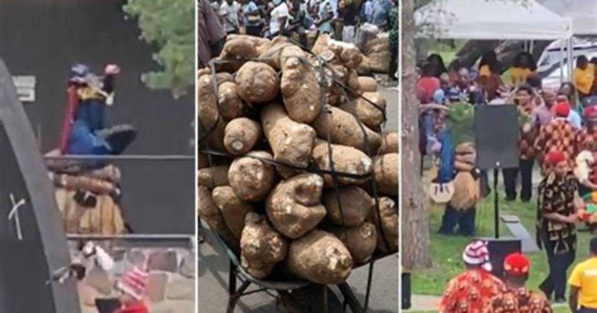 "Even the Gods Don Japa": Video Shows Igbos Celebrating New Yam Festival in Canada with Masquerades in Video
