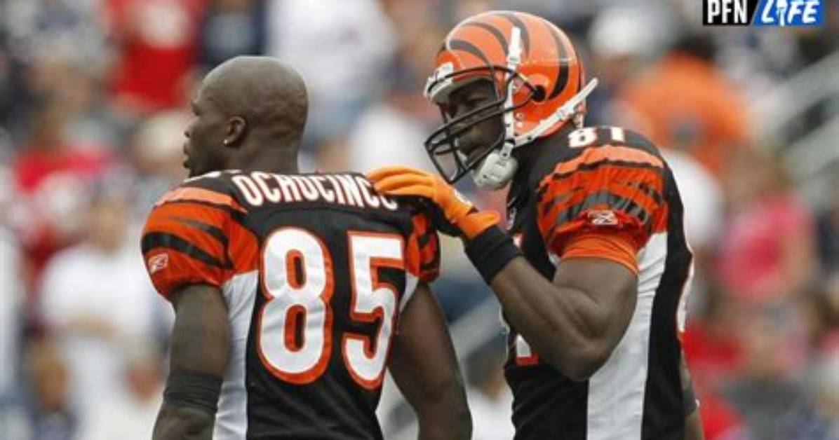 Fans Are Hopeful That Chad Ochocinco Johnson Will Make Various Appearances on 'Selling Tampa'