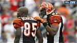 Fans Are Hopeful That Chad Ochocinco Johnson Will Make Various Appearances on 'Selling Tampa'