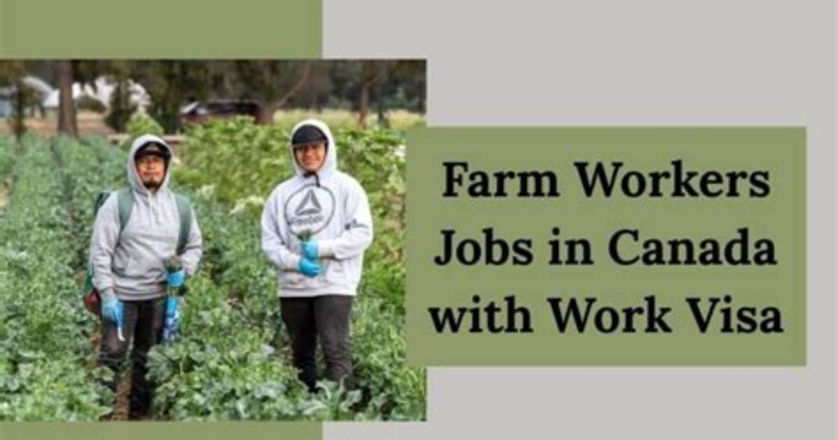 “Farm Work with Free Visa in Canada”: Lady Shares Job That Allows Nigerians to Relocate