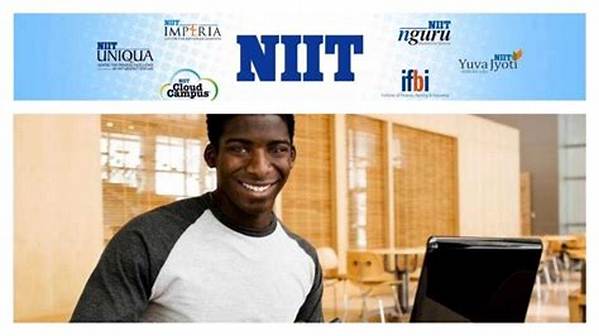 Full Meaning of Niit Nigeria and Facts We Should Know About It