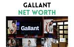 Gallant Net Worth