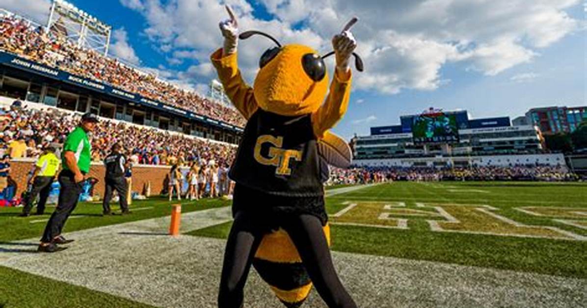 Georgia Tech Yellow Jackets Best of 2023: Haynes King a Star