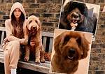 Get to Know Louis Tomlinson’s Dogs — Bruce and Clifford