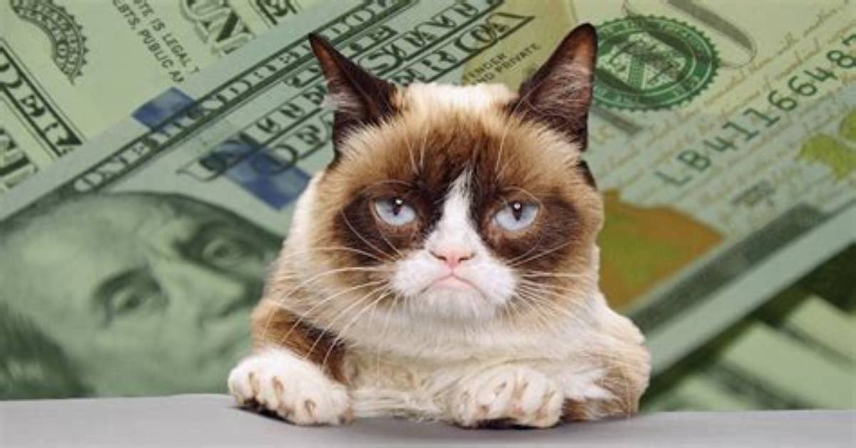 Grumpy Cat Net Worth