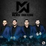 Grupo Mente Maestra's Insights