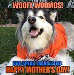 Happy Dog Mom Day! Memes to Celebrate the Best Day of the Year