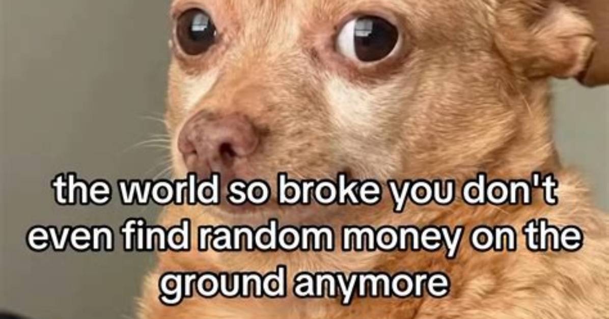Here Are the Funniest and Realest Memes About Chris Brown's $1,000 Meet-and-Greet Tickets