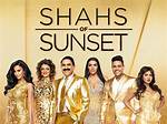 Here's How 'Shahs of Sunset's Shervin Roohparvar Made His Millions