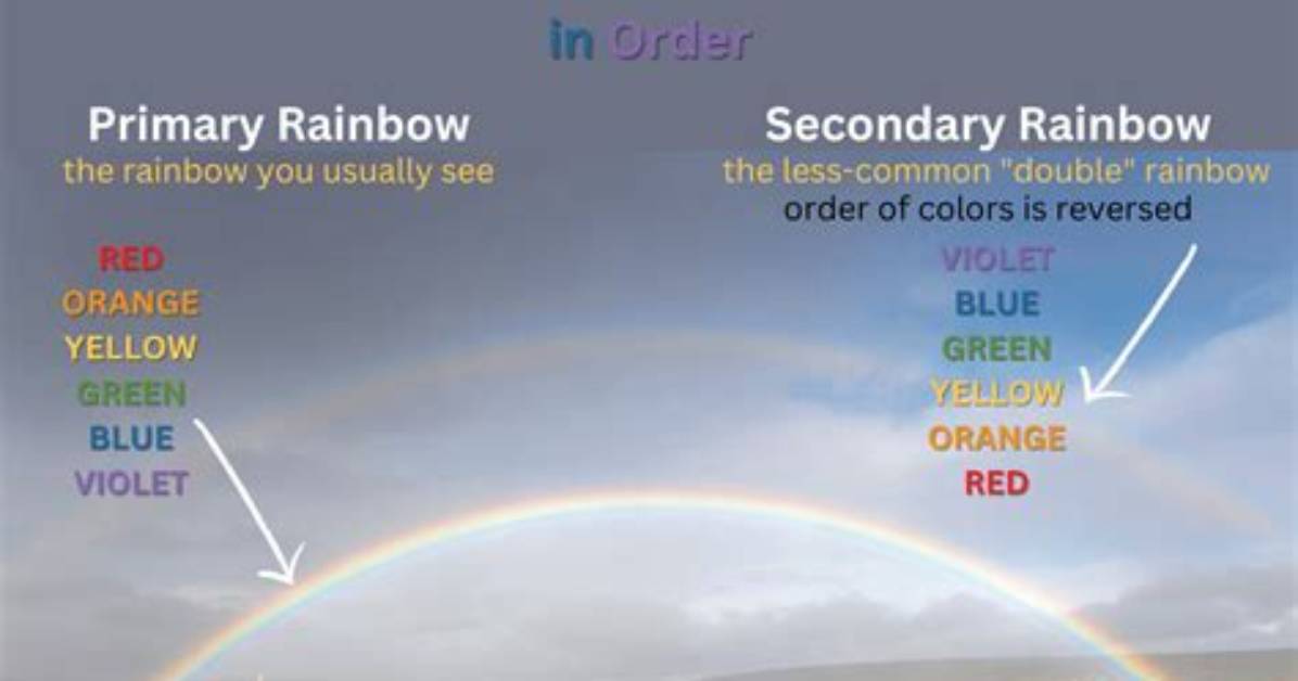 Here’s How to Get the Rainbow Story Ring Around Your Instagram Profile Picture