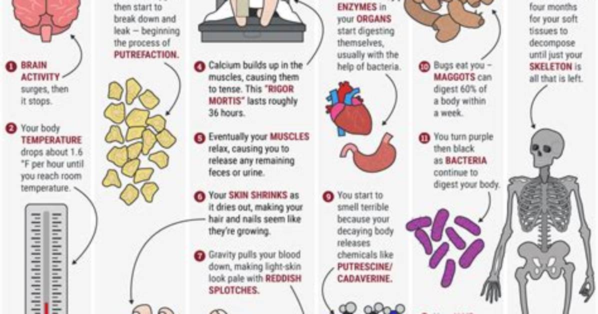 Here’s What Happens If You Die While on Your Period