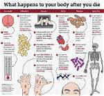 Here’s What Happens If You Die While on Your Period