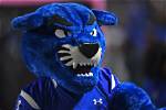 History of the Georgia State Panthers Mascot