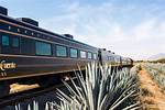 Hop Aboard the Jose Cuervo Tequila Train for Día De Los Muertos