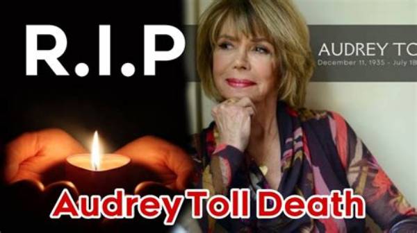 Houston Tx Audrey Toll Death Cause | Journalist Died of Heart Attack