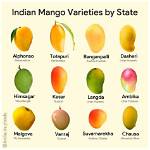 How Many Types of Mangoes Are There?