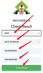 How to Check Your 2016 Neco Result