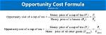 How to Compute for Opportunity Cost?