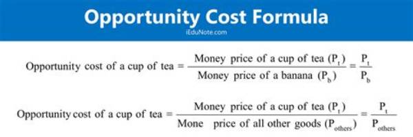 How to Compute for Opportunity Cost?