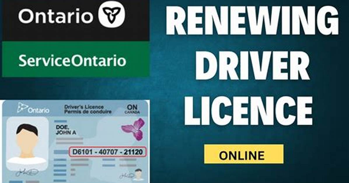 How to Renew Drivers Licence Without Going for Physical Capture (Explainer)