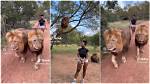 “I Used to Fear Samson”: Pretty Lady Walks 2 Big Lions as If They Are Dogs in Viral Video