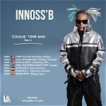 Innoss'b Net Worth 2024
