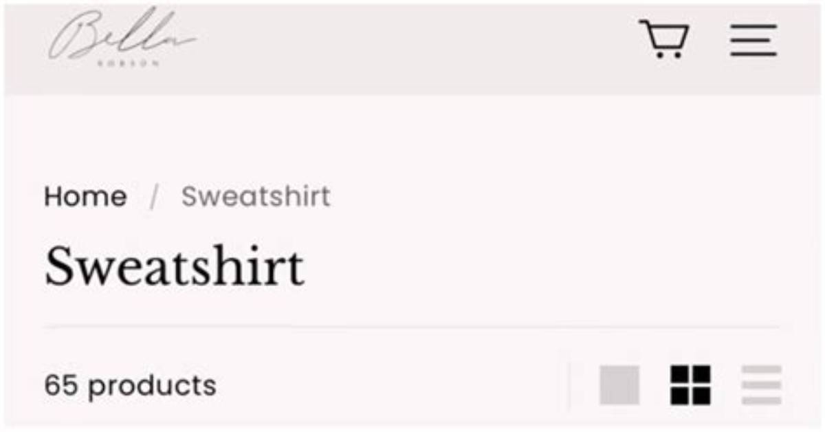 Inside the Bella Robson Clothing Scam Allegations