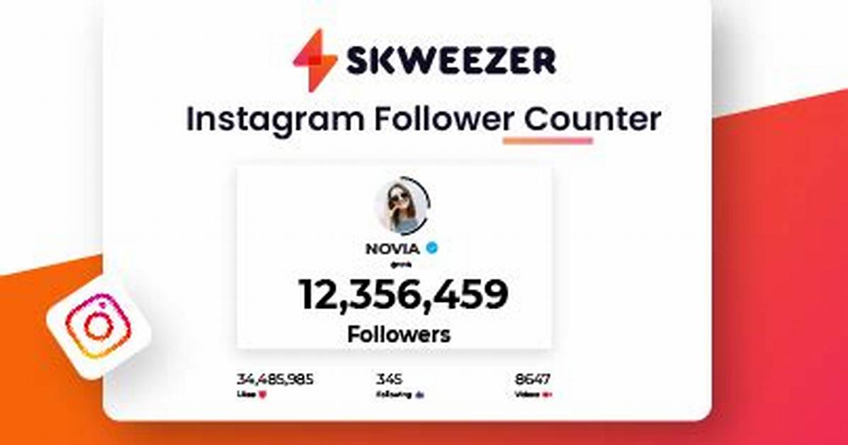 Instagram Follower Count Checker
