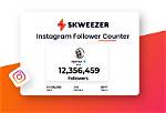 Instagram Follower Count Checker