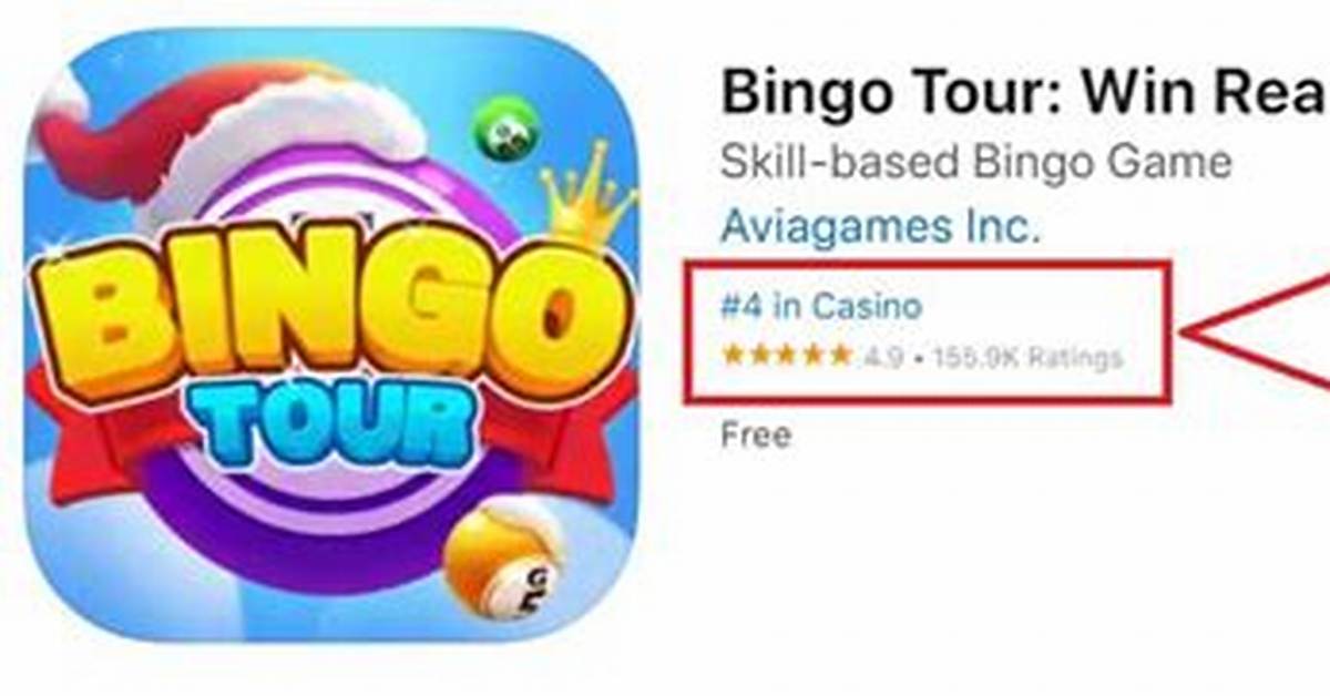 Is Bingo Tour Legit? – Feedback and Reviews