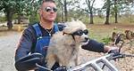 Is Cutie Pie on 'Moonshiners' Still Alive? an Update on Josh's Dog