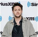 Is Niall Horan Gay? Sexuality Partner Family and Instagram Explored