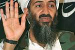 Jb Bin Laden Net Worth
