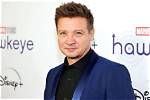 Jeremy Renner Bio, Wiki, Age, Wife, Hawkeye, App, Movies, and Net Worth